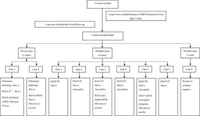 Amphotericin B colloidal dispersion: an effective drug for the treatment of mucormycosis in China